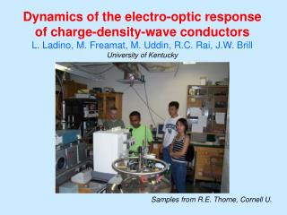 Dynamics of the electro-optic response of charge-density-wave conductors