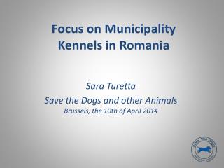 Focus on Municipality Kennels in Romania
