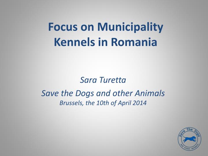 focus on municipality kennels in romania