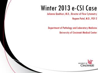 Winter 2013 e-CSI Case