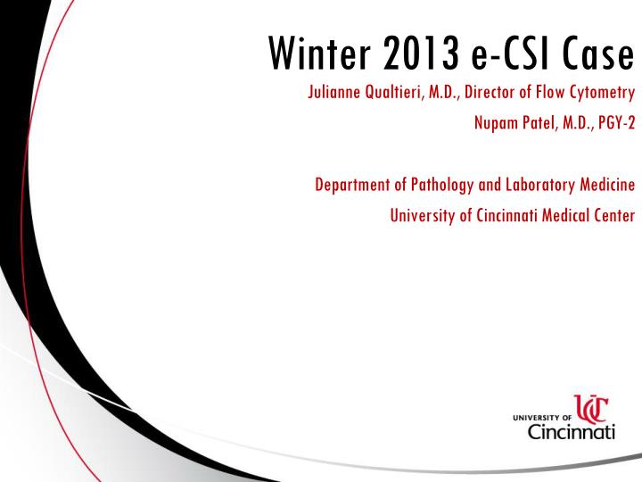 winter 2013 e csi case