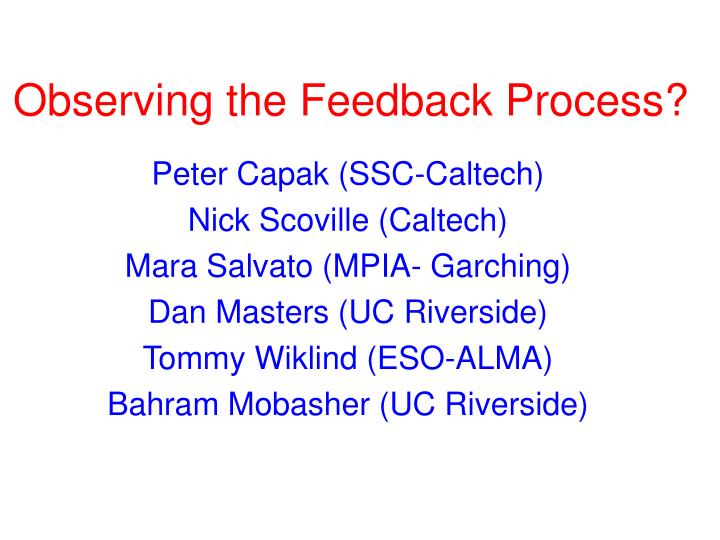 observing the feedback process