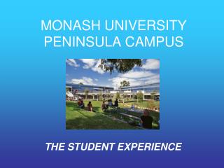 MONASH UNIVERSITY PENINSULA CAMPUS