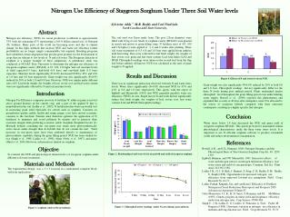 Nitrogen Use Efficiency of Staygreen Sorghum Under Three Soil Water levels