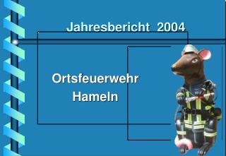 jahresbericht 2004