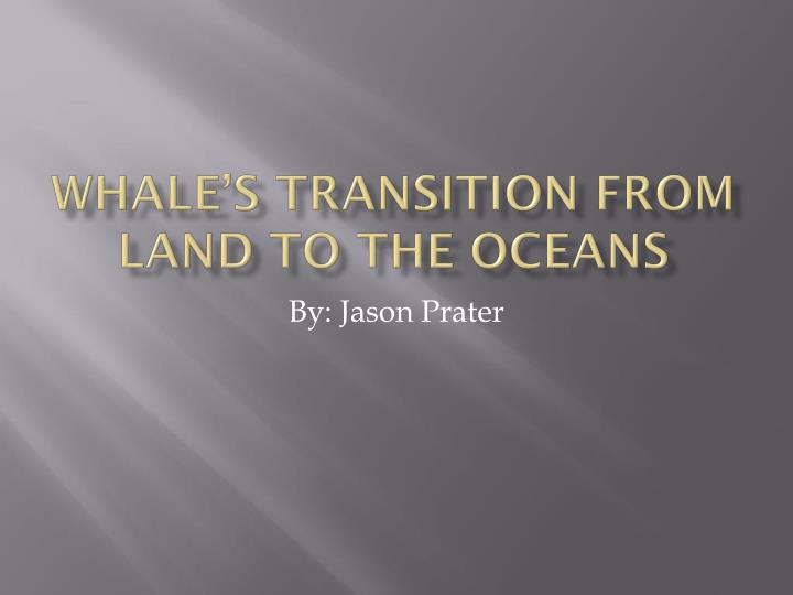 whale s transition from land to the oceans