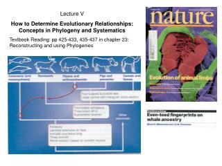 Lecture V How to Determine Evolutionary Relationships: Concepts in Phylogeny and Systematics