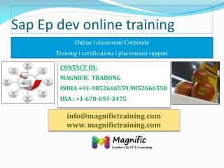 sap ep development online training in sweden