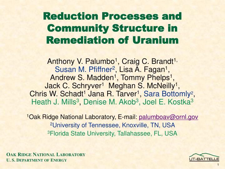 reduction processes and community structure in remediation of uranium