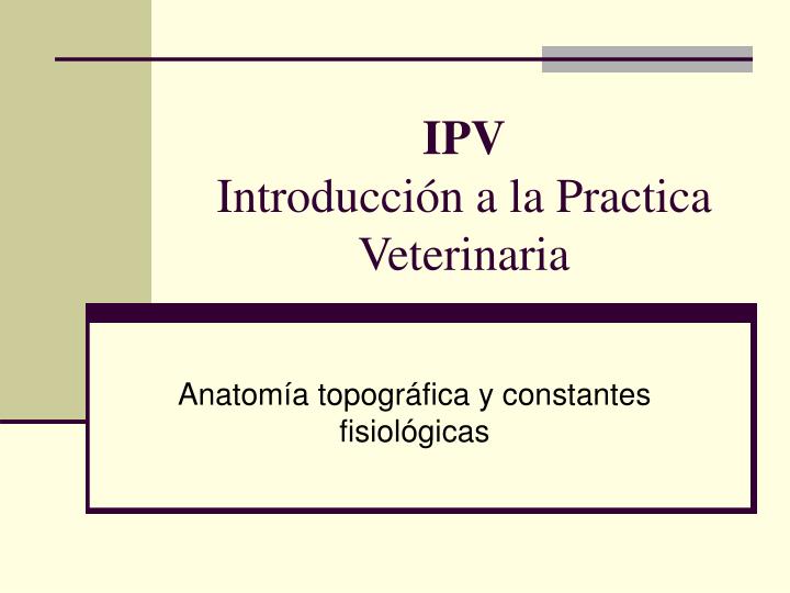 ipv introducci n a la practica veterinaria