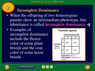 Incomplete Dominance