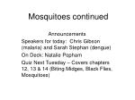 Mosquitoes continued - slide 1