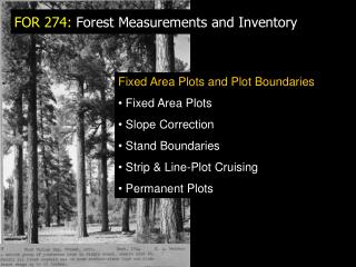 FOR 274: Forest Measurements and Inventory