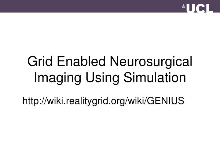 grid enabled neurosurgical imaging using simulation
