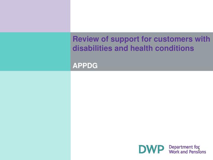 review of support for customers with disabilities and health conditions appdg
