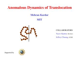 Anomalous Dynamics of Translocation