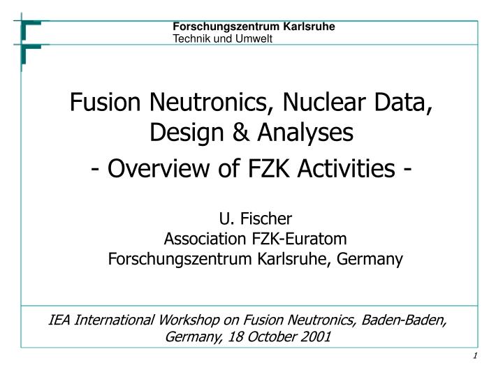 iea international workshop on fusion neutronics baden baden germany 18 october 2001