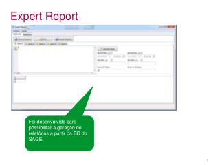 expert report