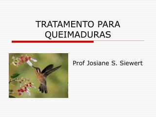 tratamento para queimaduras