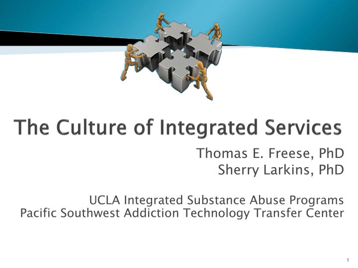 the culture of integrated services
