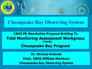 Chesapeake Bay Observing System