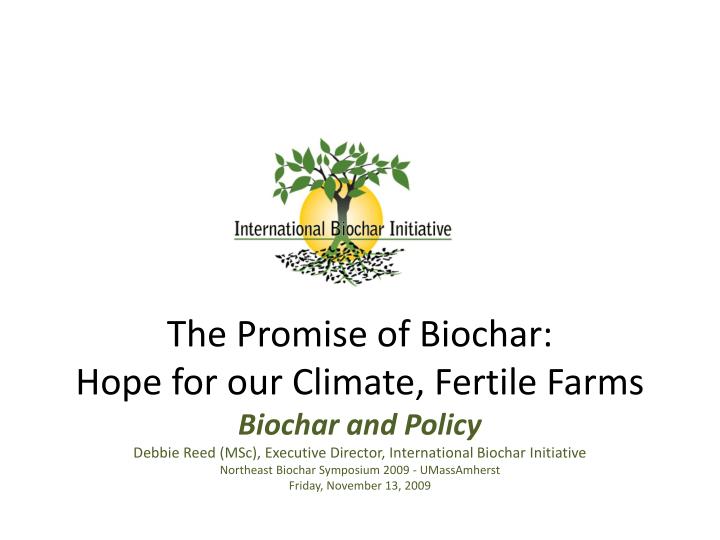 the promise of biochar hope for our climate fertile farms
