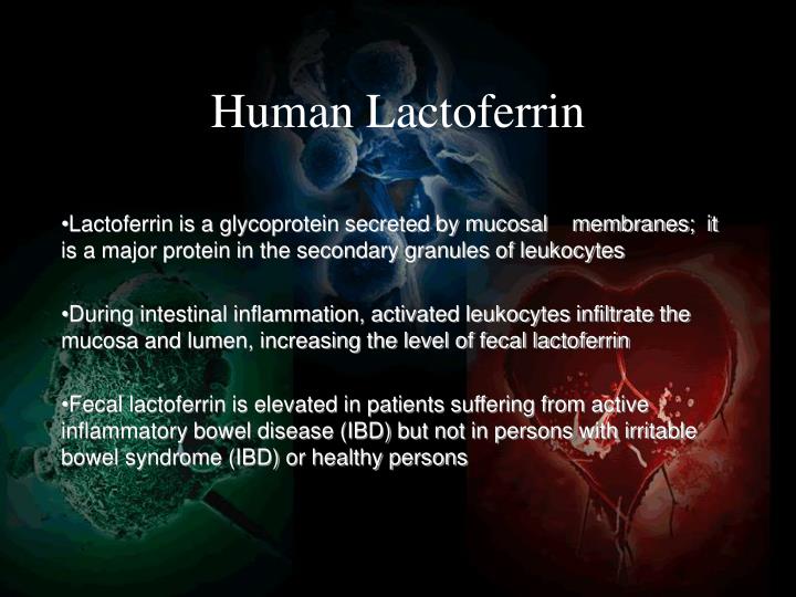 human lactoferrin