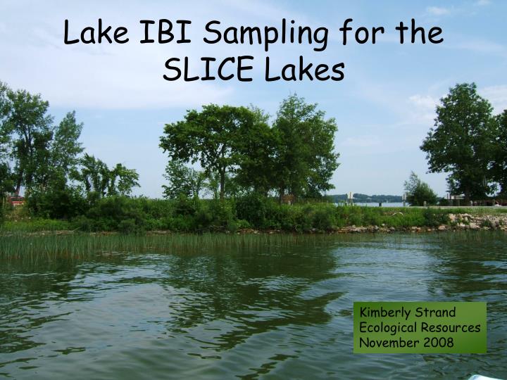 lake ibi sampling for the slice lakes