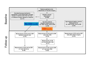 Patients admitted to the Department of Vascular Surgery