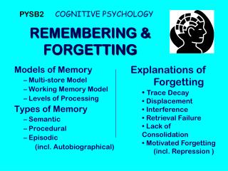remembering forgetting
