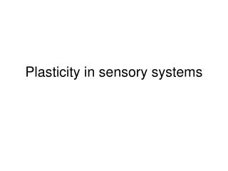 Plasticity in sensory systems