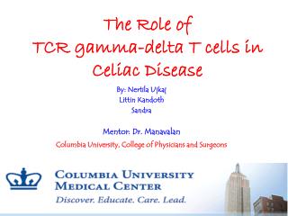 The Role of TCR gamma-delta T cells in Celiac Disease