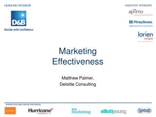 Matthew Palmer, Deloitte Consulting