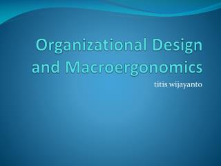 Organizational Design and Macroergonomics