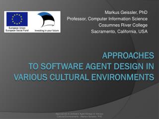 Approaches to Software Agent Design in Various Cultural Environments