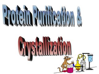 Protein Purification &amp; Crystallization