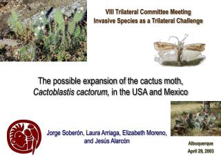 VIII Trilateral Committee Meeting Invasive Species as a Trilateral Challenge