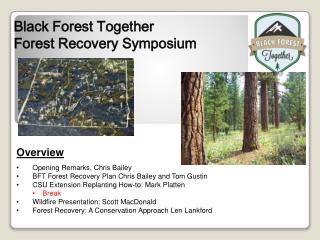 Black Forest Together Forest Recovery Symposium