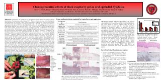 Chemopreventive effects of black raspberry gel on oral epithelial dysplasia.