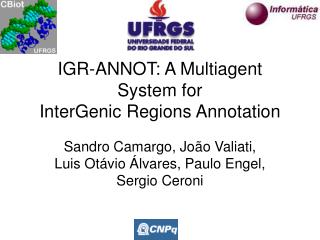 IGR-ANNOT: A Multiagent System for InterGenic Regions Annotation