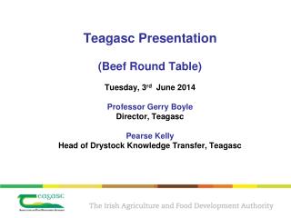 Beef Production in Ireland