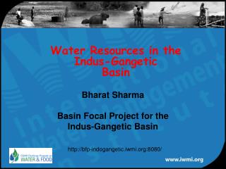 Water Resources in the Indus-Gangetic Basin