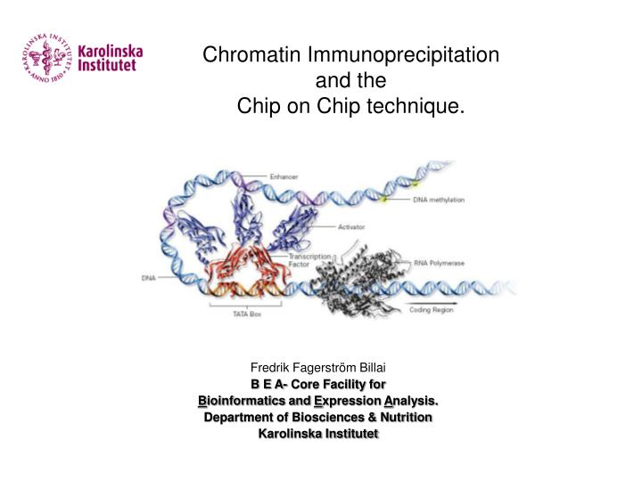 chromatin immunoprecipitation and the chip on chip technique