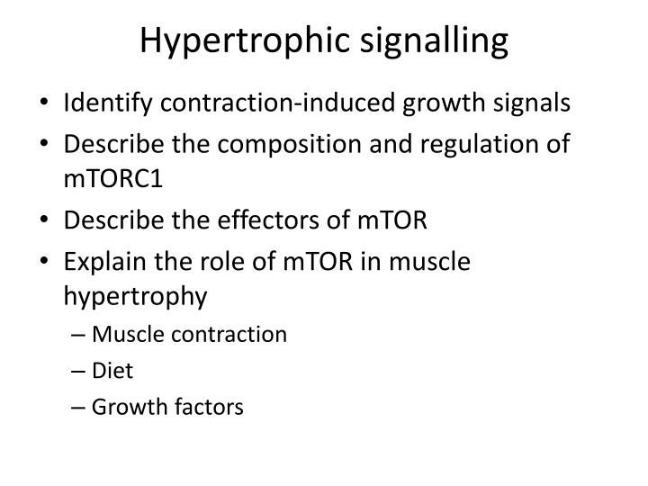 hypertrophic signalling