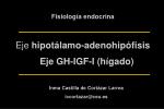 Eje hipotálamo-adenohipófisis - slide 1