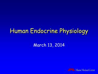 Human Endocrine Physiology
