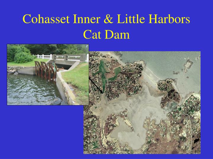 cohasset inner little harbors cat dam