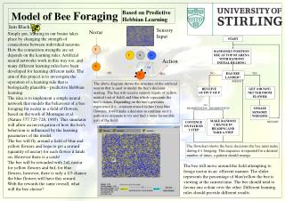 Model of Bee Foraging