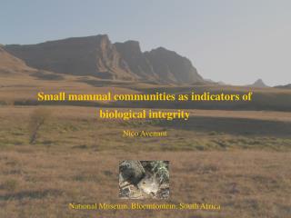 Small mammal communities as indicators of biological integrity Nico Avenant