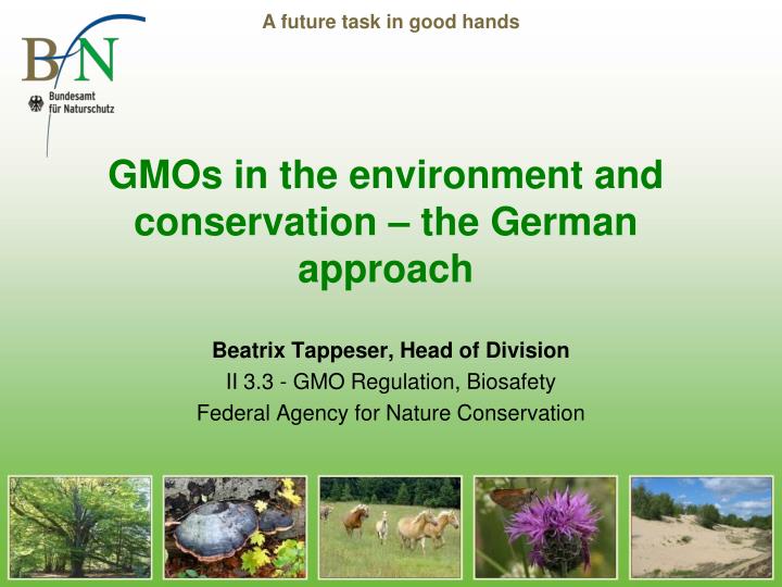 gmos in the environment and conservation the german approach